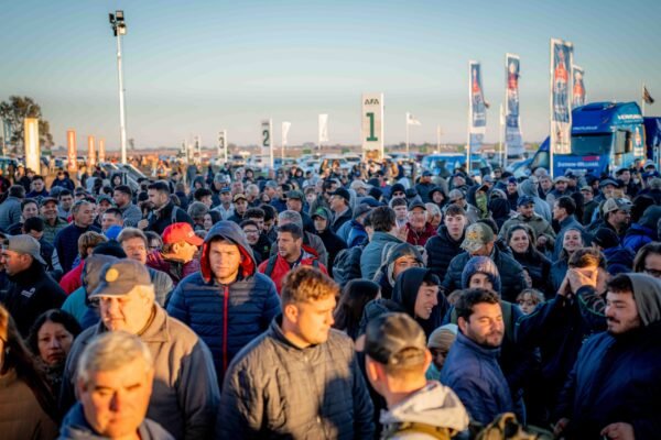 PORTICO AGROACTIVA-030