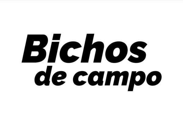 WhatsApp Image 2025-04-29 at 15.13.03 WhatsApp Image 2025-04-29 at 15.13.03