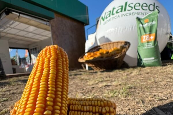 WhatsApp Image 2025-08-01 at 13.29.46 (1)