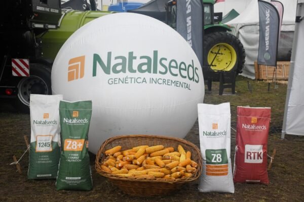 WhatsApp Image 2025-08-01 at 18.37.31