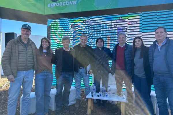 WhatsApp Image 2025-08-05 at 15.26.18 1