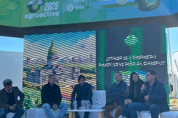 WhatsApp Image 2025-08-05 at 15.26.18 5