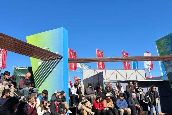 WhatsApp Image 2025-08-05 at 15.26.18 6