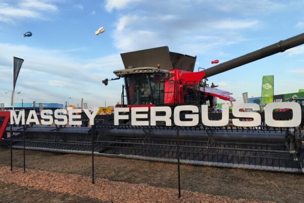 WhatsApp Image 2025-06-04 at 17.37.27