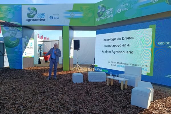 WhatsApp Image 2025-06-06 at 3.46.45 PM