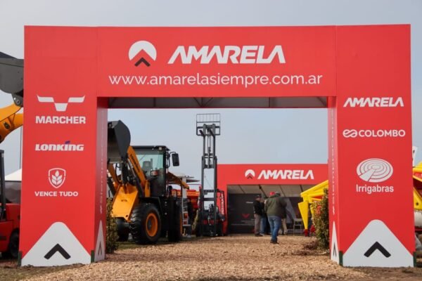 WhatsApp Image 2025-06-07 at 16.15.06